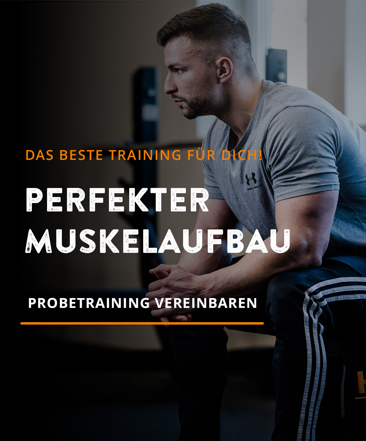 HILL-FITNESS | Muskelaufbau - Saarburg, Schweich, Hermeskeil, Zell