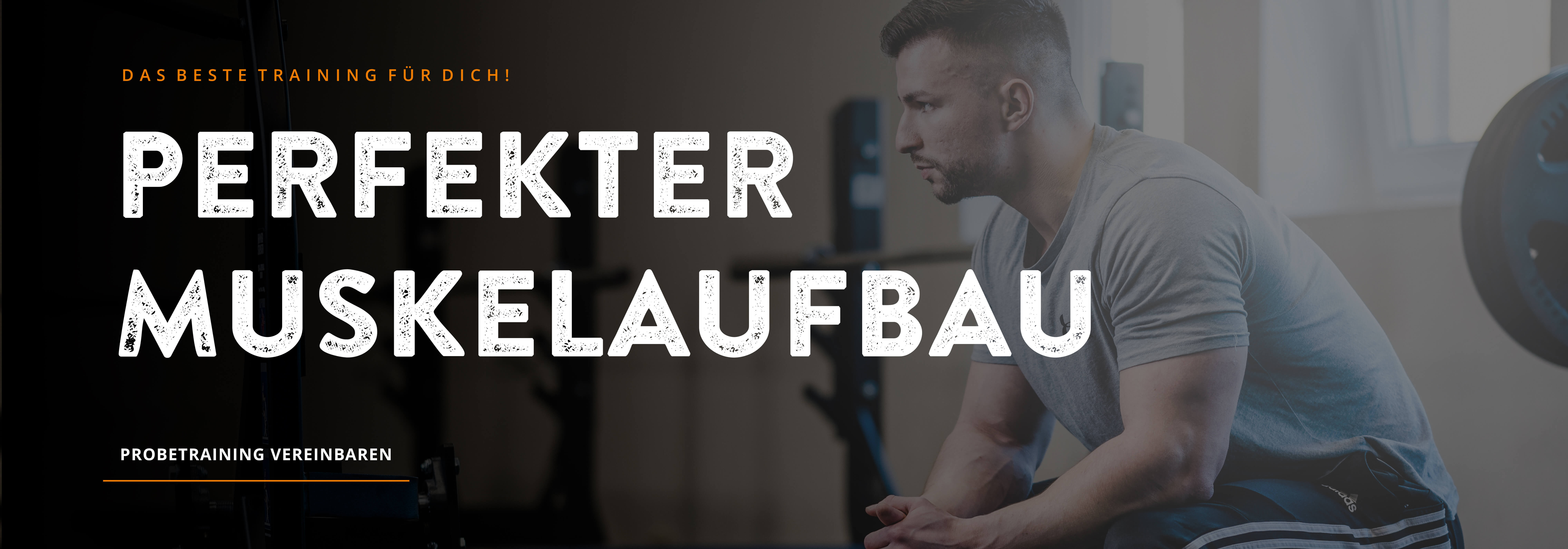 HILL-FITNESS | Muskelaufbau - Saarburg, Schweich, Hermeskeil, Zell